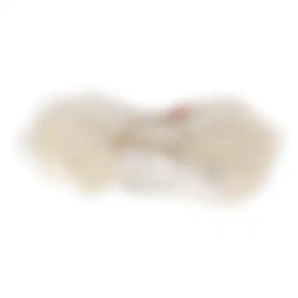 Hondensnack bubble been 10-12cm