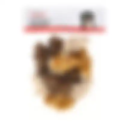 Snack hond krokodil M 12st