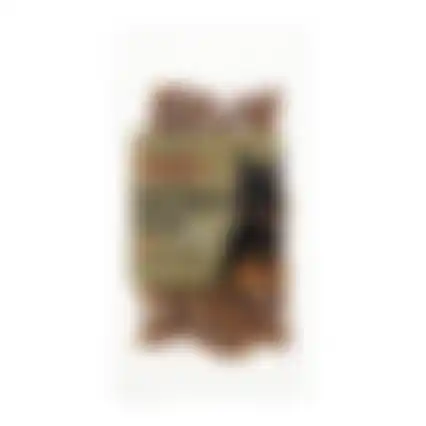Snack H eend blokjes 80g Smulti