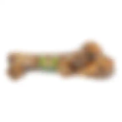 Snack hond rund dinobot medium