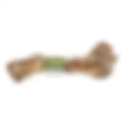 Snack hond rund dinobot large