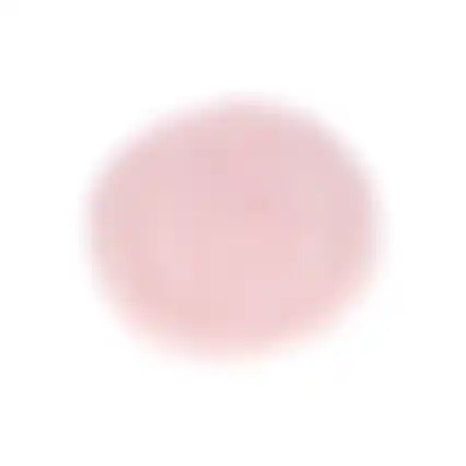 Kussen Dier Pluche Roze