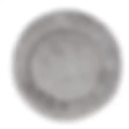 Kussen dier 55cm rond grijs