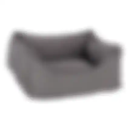 Hondenmand Beau 40x30