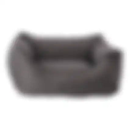 Hondenmand Beau 40x30