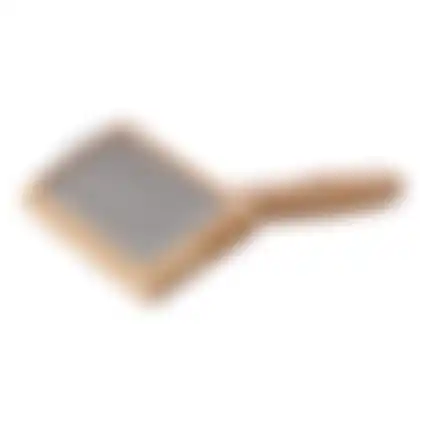 Borstel huisdier glad L bamboo FP