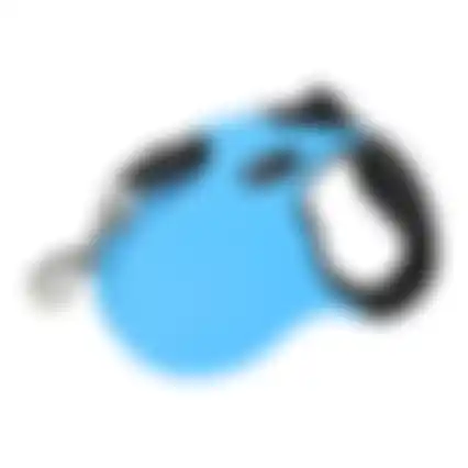 Rollijn Tape Blauw