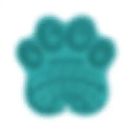 Slowfeeder turquoise Friendly Pet