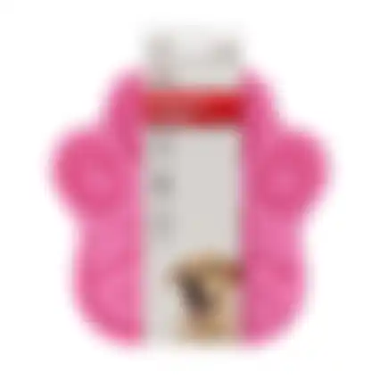 Slowfeeder fuchsia Friendly Pet