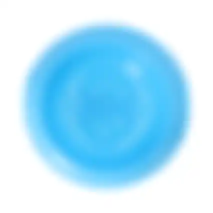 Voerbak rond 22cm