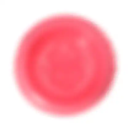 Voerbak rond 22cm