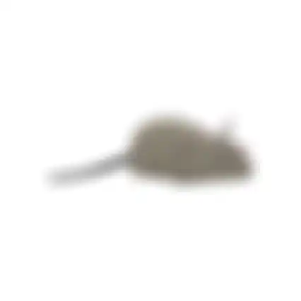 Kattenspeeltje muis opwindbaar