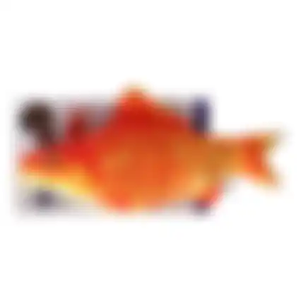 Speelgoed kat bewegende vis Flounder 30cm