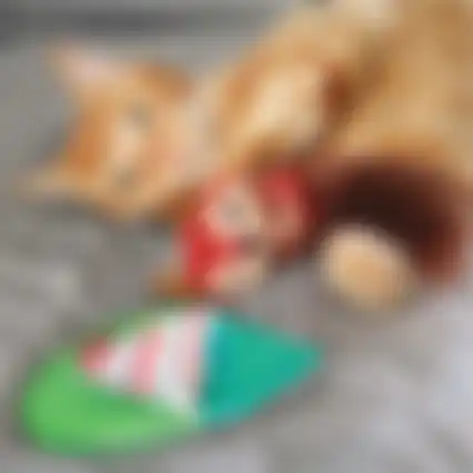 Kattenspeeltje Pull-a-partz tuck Kong