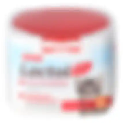Lactol kitten milk 250g Beaphar