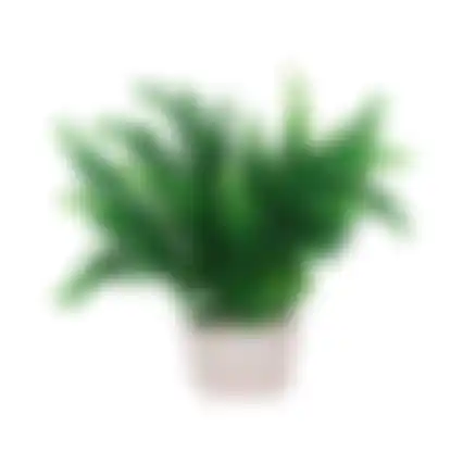 Plant aquarium plastic asssorti S