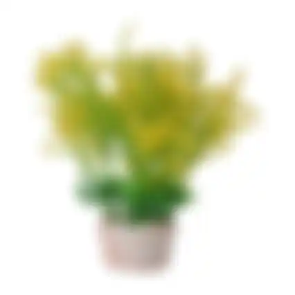 Plant aquarium plastic asssorti S