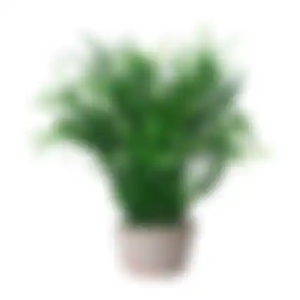 Plant aquarium plastic asssorti S