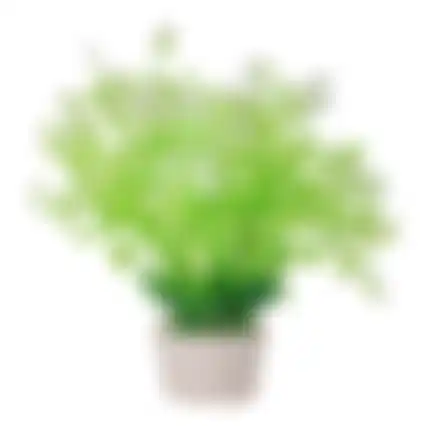 Plant aquarium plastic asssorti S