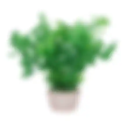 Plant aquarium plastic asssorti S
