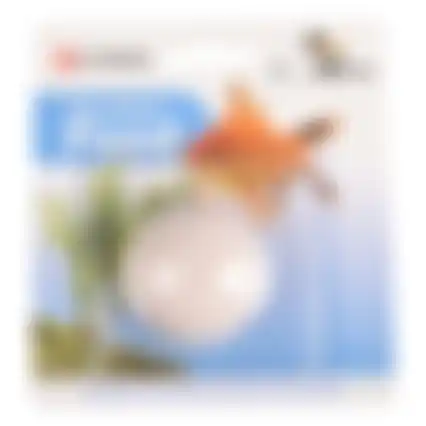 Vakantievoer voor siervissen
