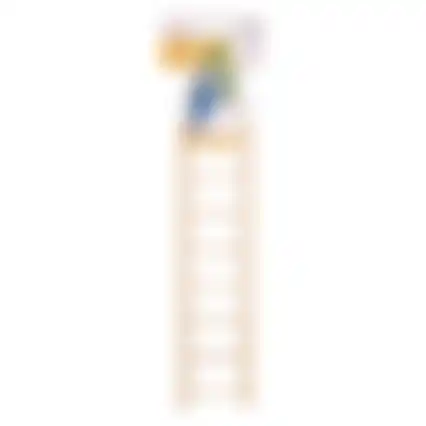 Houten ladder Escada 8 tr