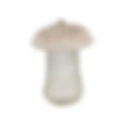 Voedersilo parasolzwam 13x18cm