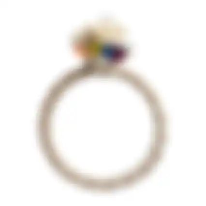 Kooihanger ring Adimo D27cm FP