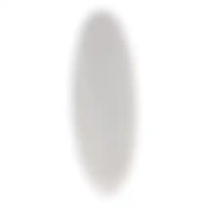 Sepia schelp Zazoo 11cm 2st Smulti