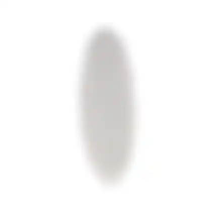 Sepia schelp Zazoo 23cm Smulti