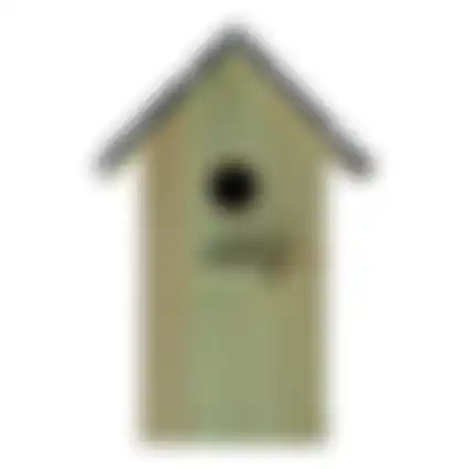 Vogelhuis + zink 18x12x2cm groen