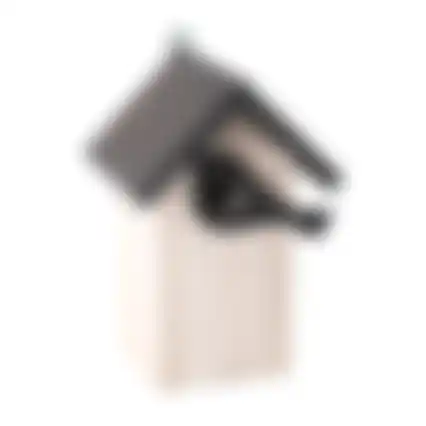 Vogelhuis sijs wit