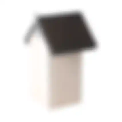 Vogelhuis sijs wit