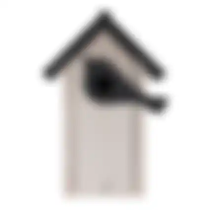 Vogelhuis sijs wit