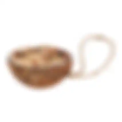 Cocosnoot half vet + granola Smulti