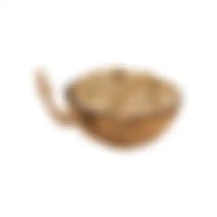 Cocosnoot half vet+soldaat vlieg
