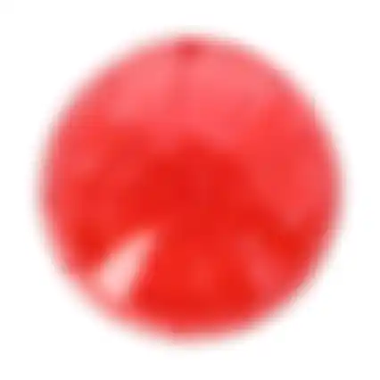 Hamsterspeelbal neon