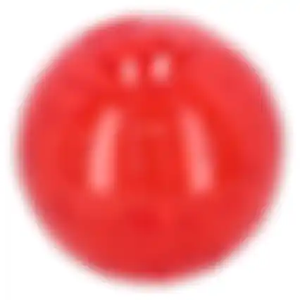 Hamsterspeelbal neon
