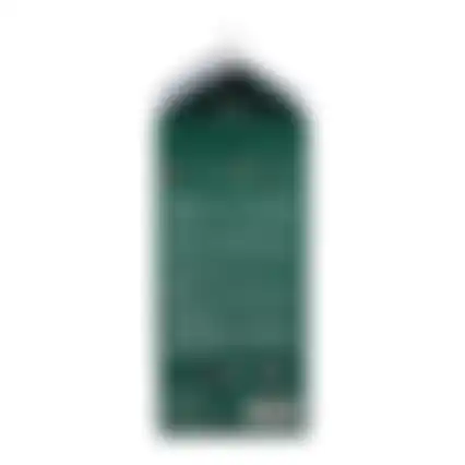 Badzand chincilla 2L