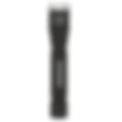 Zaklamp ZL-10 200lm 2xAA Diamant