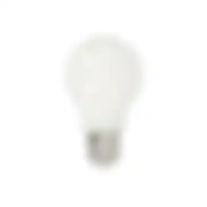 Lamp LED peer 7-60W E27 duo Philips