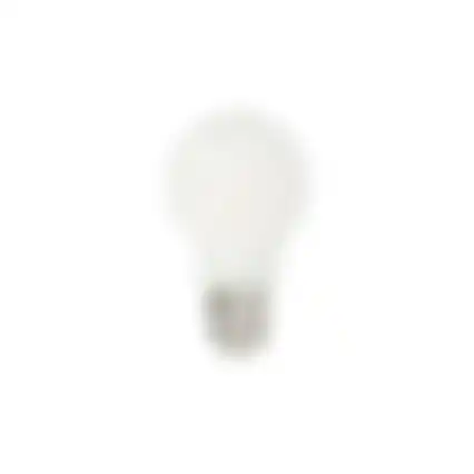 Lamp LED peer mat 120w E27 Philips