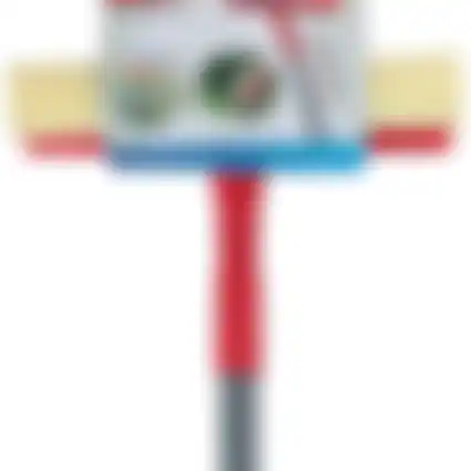 Raamreiniger telescoop Dirt Devil