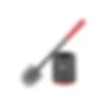 Toiletborstel + houder Dirt Devil