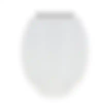 Toiletbril soft close bath+shower