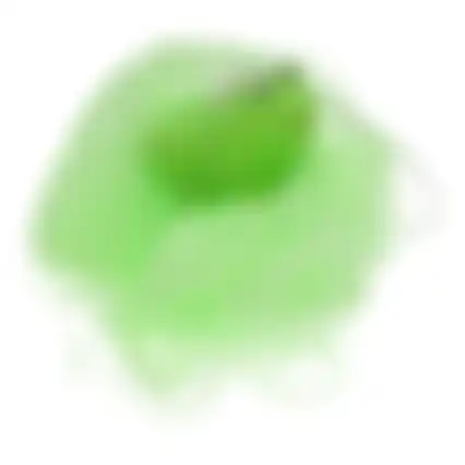 Badspons