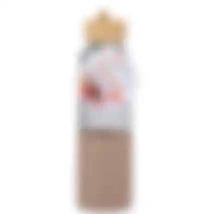 Drinkfles 500ml asst Alpina