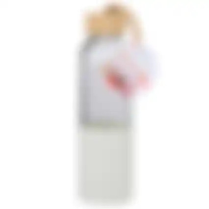 Drinkfles 500ml asst Alpina