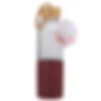 Drinkfles 500ml asst Alpina
