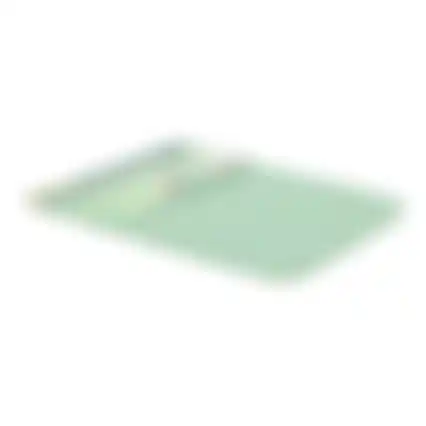 Droogmat 2 stuks 28x37cm